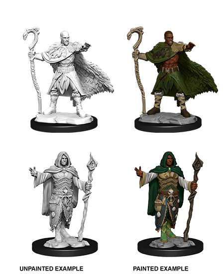 D&D Nolzurs Miniature - Human Druid Male