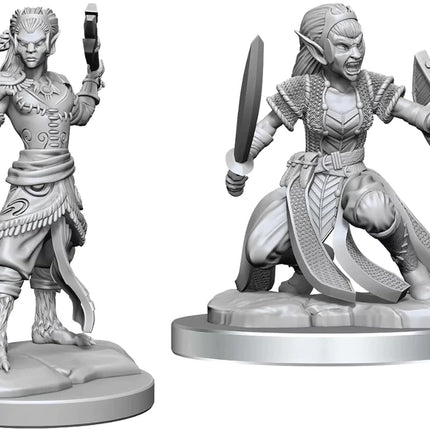 D&D Nolzurs Miniature - Shifter Fighter