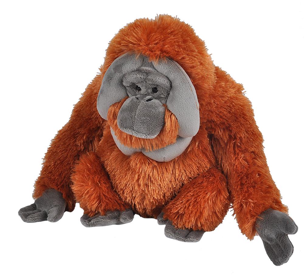 Wild Republic - Orangutang - Male 12