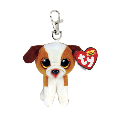 Hugo the Brown and White Dog